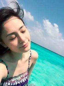 最新爆料阿娇绯闻,揭秘背后真相与情感纠葛