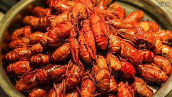 龙虾最新爆料新闻报道,揭秘幕后真相,震惊业界!