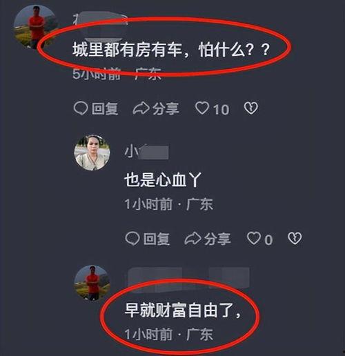 小六最新爆料视频大全集,揭秘幕后真相,带你走进事件核心