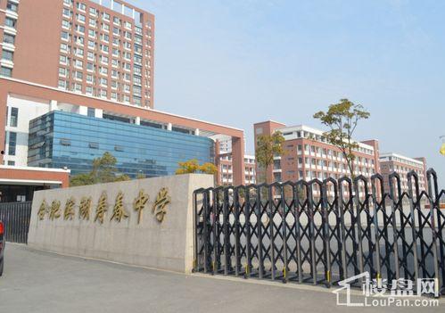 合肥高中爆料事件最新进展,真相逐步浮出水面,官方调查进展如何?